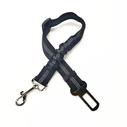 Adjustable Reflective Walking Harness for Cats Taking Road