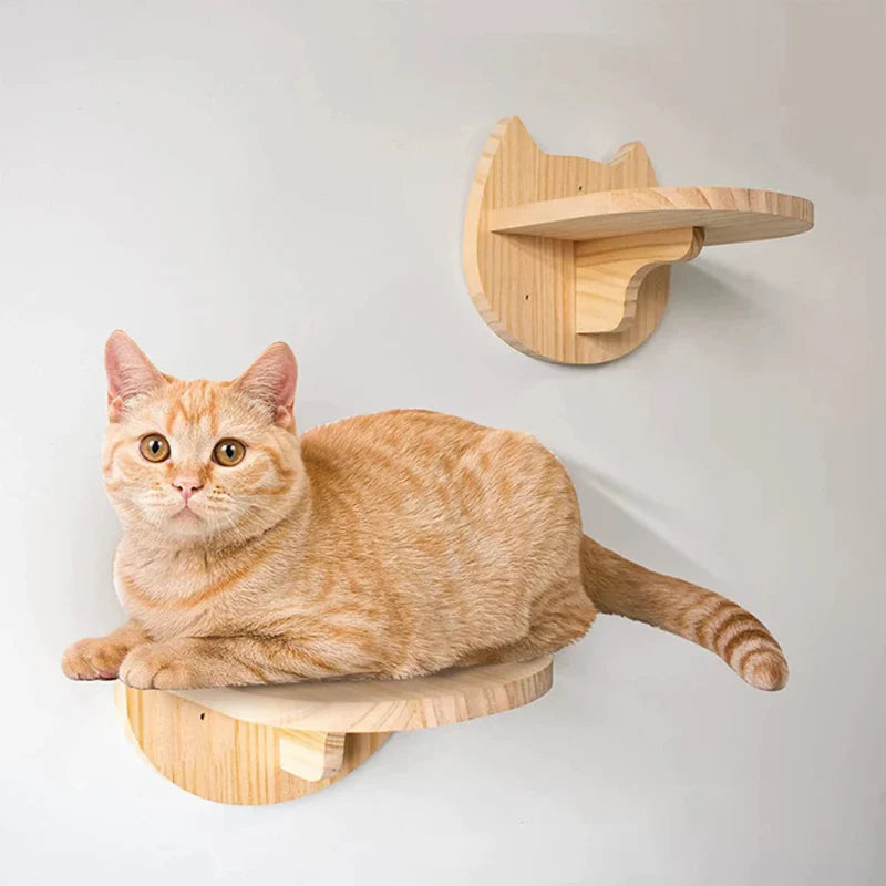Wall Mounted Scratching Post for Cats Climbing Rewarding