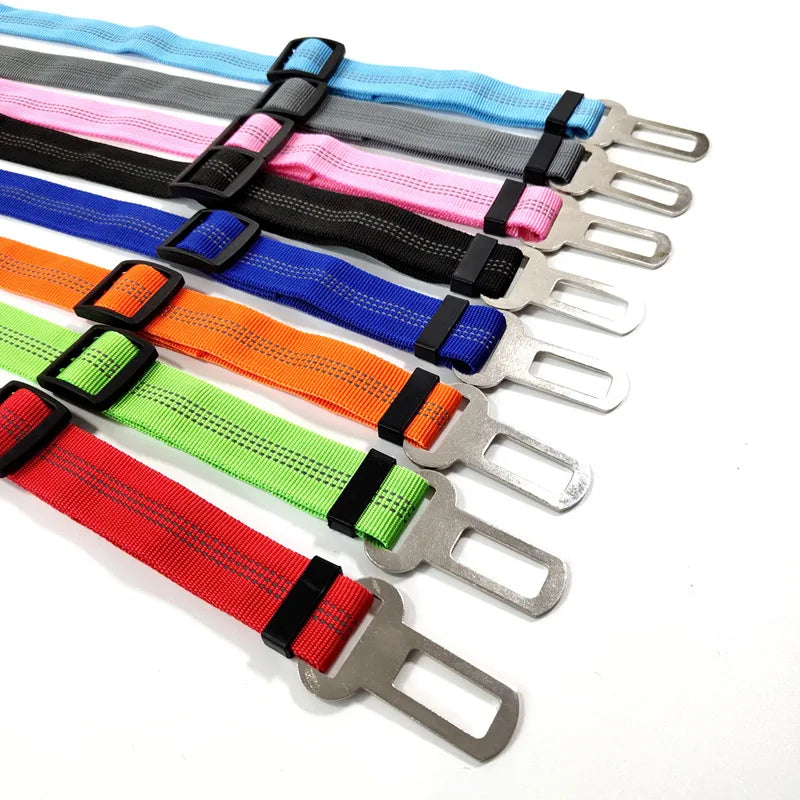 Adjustable Reflective Walking Harness for Cats Taking Road