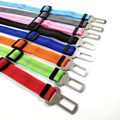 Adjustable Reflective Walking Harness for Cats Taking Road