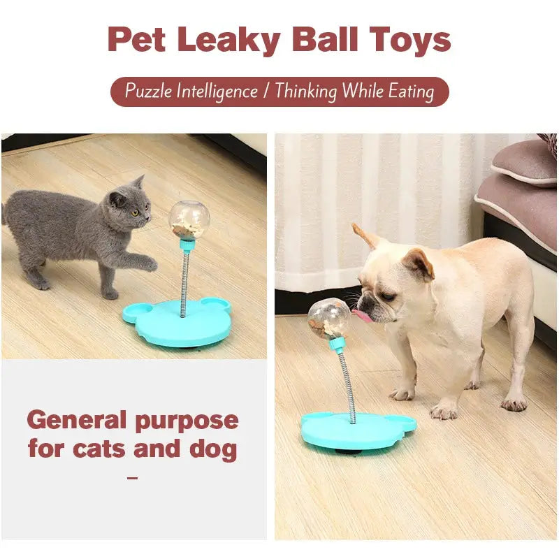 Interactive Slow Feeder Bowl for Cats Encourage Healthy