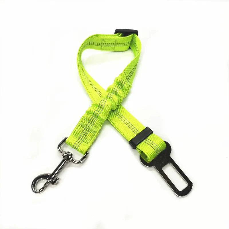Adjustable Reflective Walking Harness for Cats Taking Road