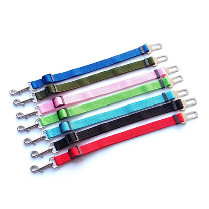Adjustable Reflective Walking Harness for Cats Taking Road