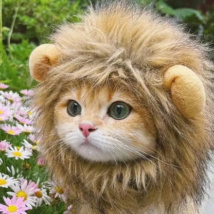 Costume for Cats Futty Friend Majestic Lion Premium