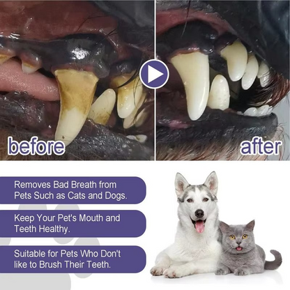 Oral Natural Dental Care Tool for Cats & Dogs