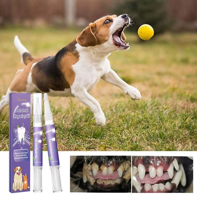 Oral Natural Dental Care Tool for Cats & Dogs