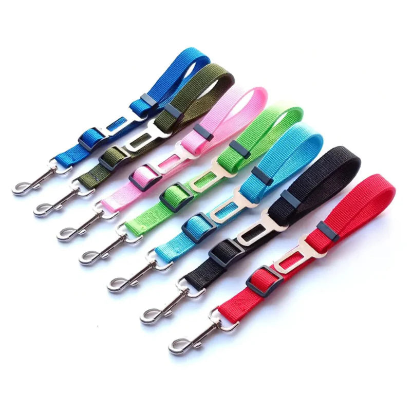 Adjustable Reflective Walking Harness for Cats Taking Road