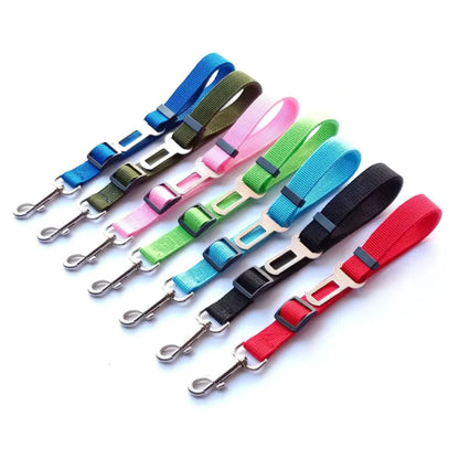 Adjustable Reflective Walking Harness for Cats Taking Road