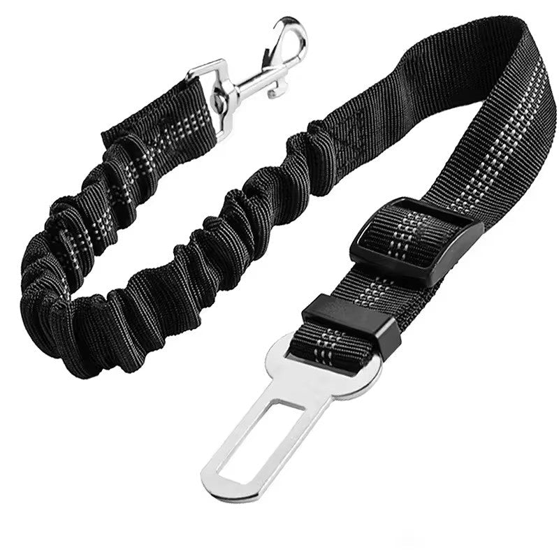 Adjustable Reflective Walking Harness for Cats Taking Road