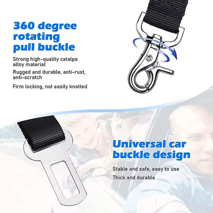 Adjustable Reflective Walking Harness for Cats Taking Road