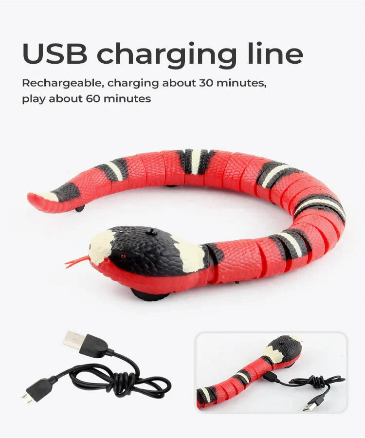 Smart Automatic Wand Teaser for Cats Meet Prey