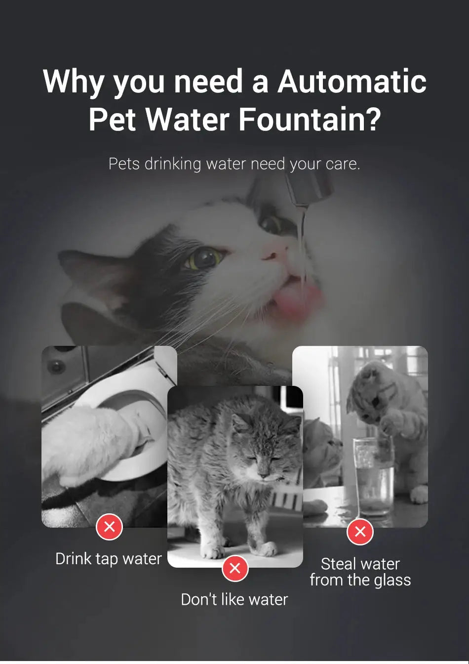 Transparent Smart Water Fountain for Cats Always Dehydrated 1.5L