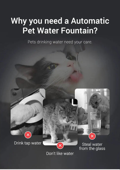 Transparent Smart Water Fountain for Cats Always Dehydrated 1.5L