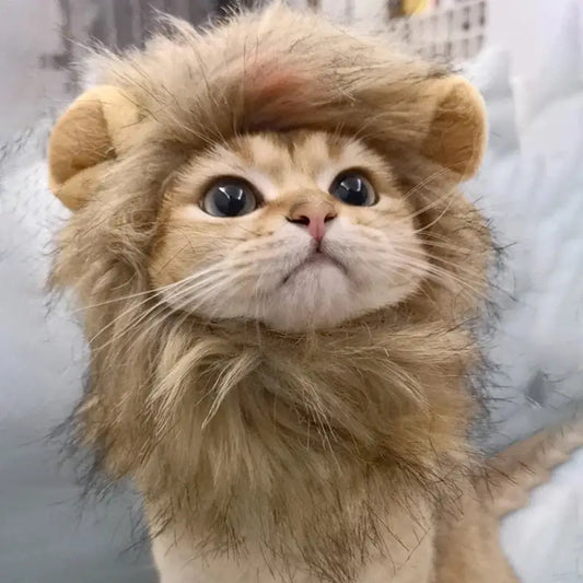 Costume for Cats Futty Friend Majestic Lion Premium