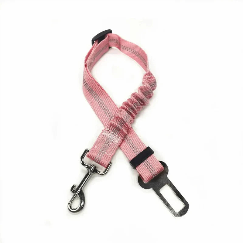 Adjustable Reflective Walking Harness for Cats Taking Road