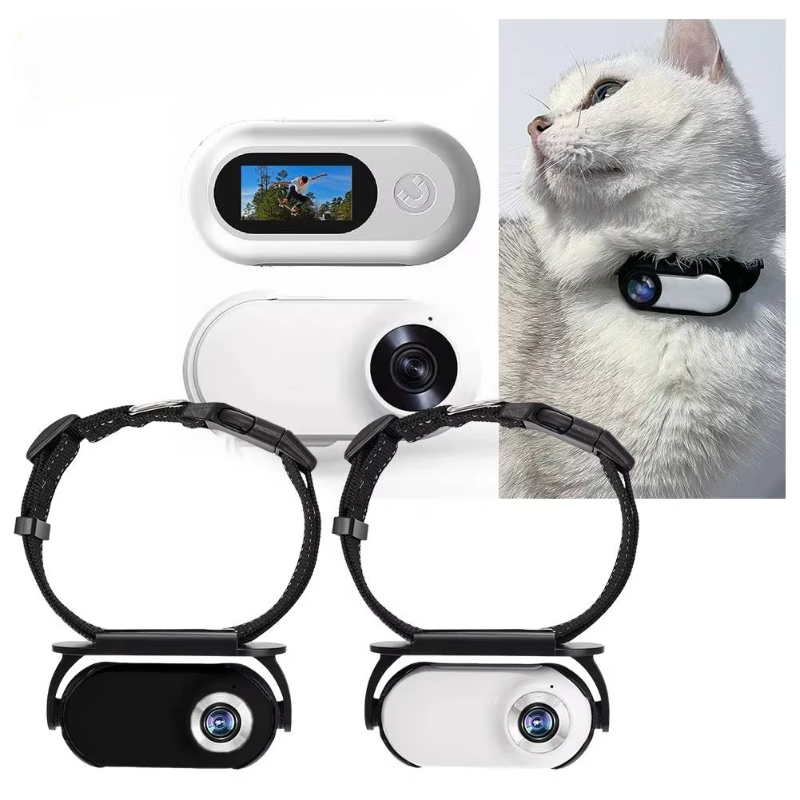 Wide Collar for Cats World Through Eyes Angle