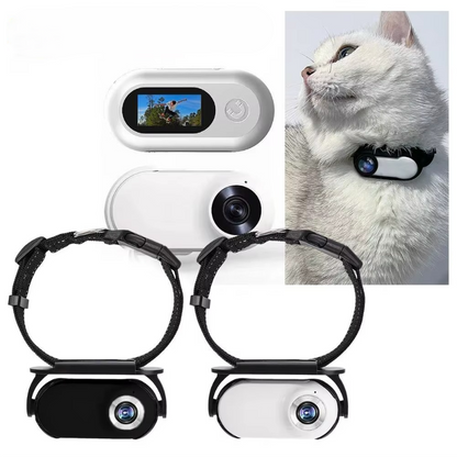 Wide Collar for Cats World Through Eyes Angle