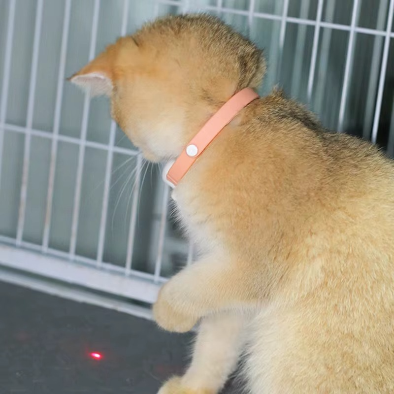 Smart Interactive Collar for Cats Entertained Effortlessly Hands