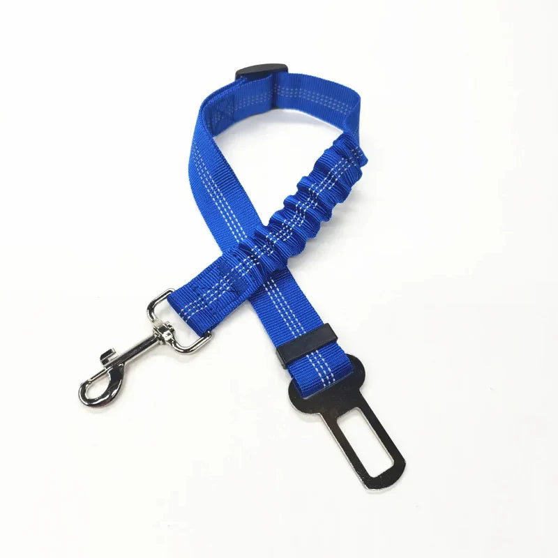 Adjustable Reflective Walking Harness for Cats Taking Road