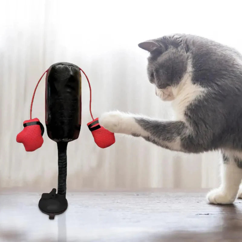 Interactive Toy for Cats Unleash Inner Boxer Punching