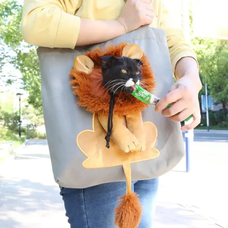 Cozy Stylish Mesh Carrier Bag for Cats Travel