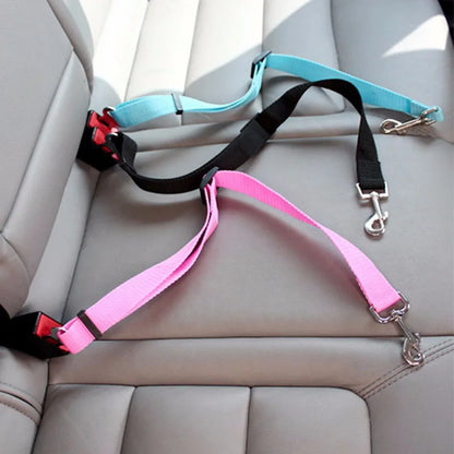 Adjustable Reflective Walking Harness for Cats Taking Road