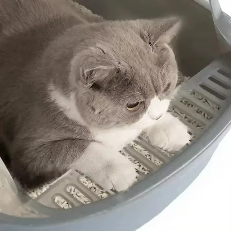 Splashproof Semi Stainless Steel Litter Scoop for Cats