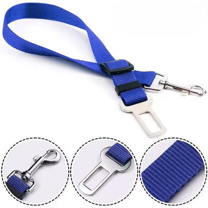 Adjustable Reflective Walking Harness for Cats Taking Road