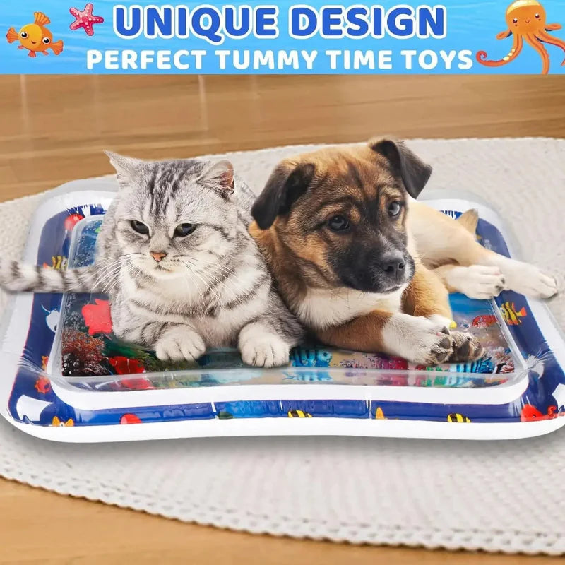 Inflatable Sensory Slow Feeder Bowl for Cats & Dogs