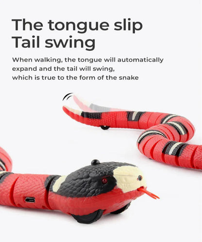 Smart Automatic Wand Teaser for Cats Meet Prey