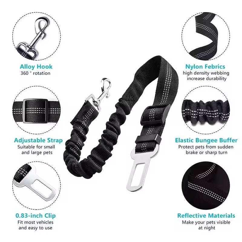 Adjustable Reflective Walking Harness for Cats Taking Road