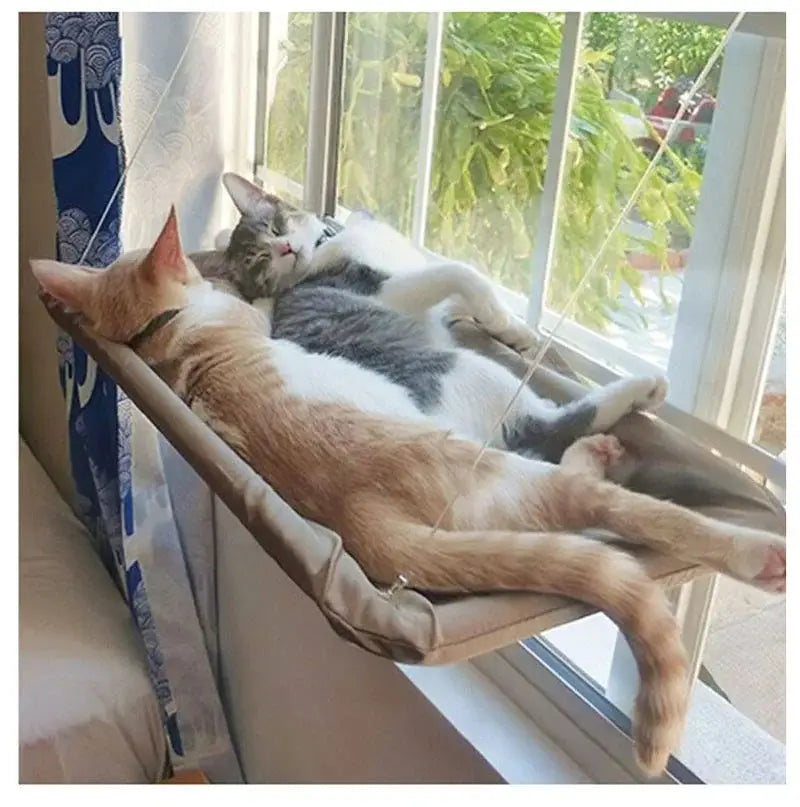Comfortable Durable Hammock for Cats Give Relaxation Spot