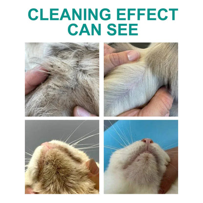 Cleaning Easy Pet Accessory for Cats Water Needed