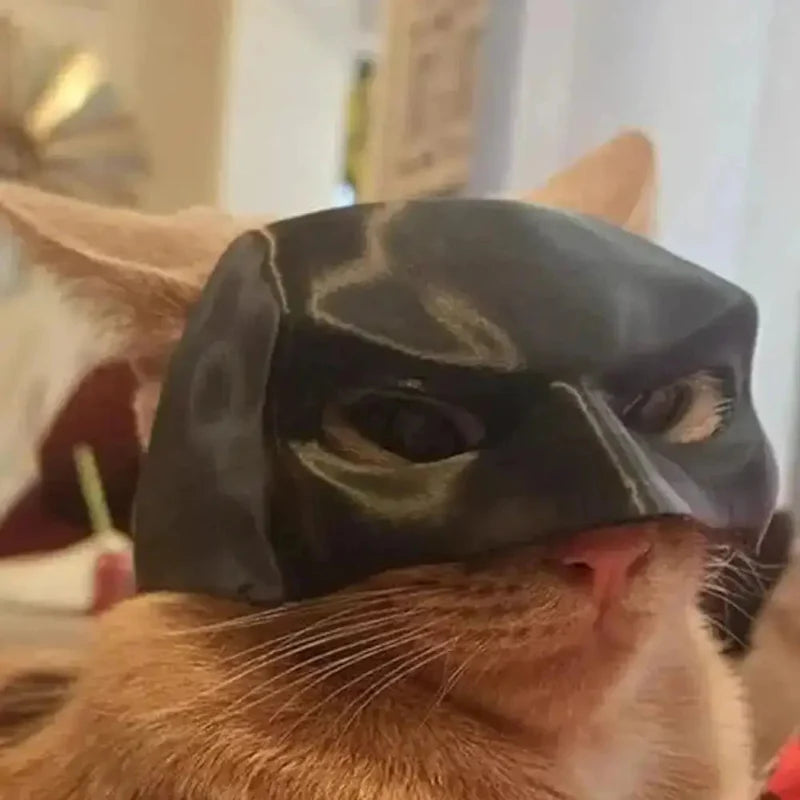 Costume for Cats Introducing Superhero Mask Adorable Premium