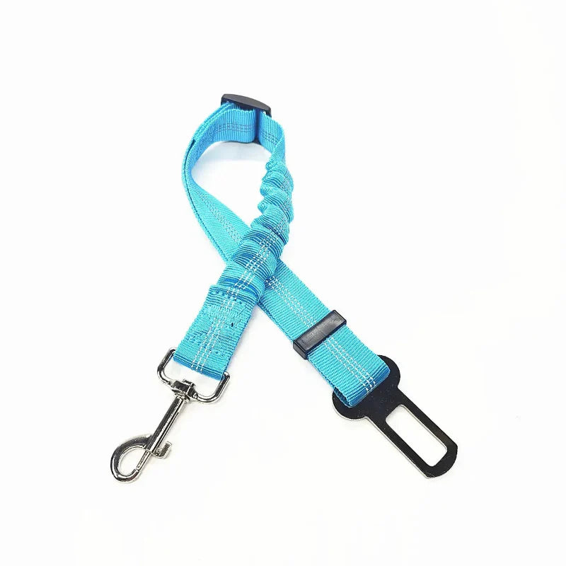 Adjustable Reflective Walking Harness for Cats Taking Road