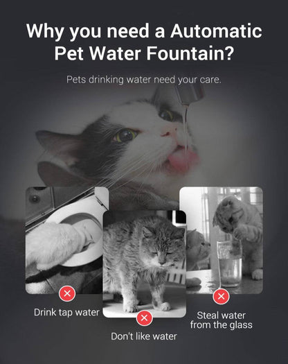 Automatic Water Fountain for Cats Dehydrated Smart Promotes 2L