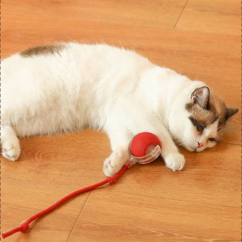 Self Electric Ball Toy for Cats Time Play