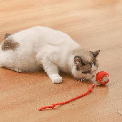 Self Electric Ball Toy for Cats Time Play