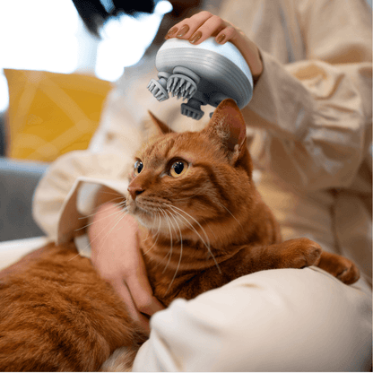 Electric Massager for Cats Introducing Soothing Four Head