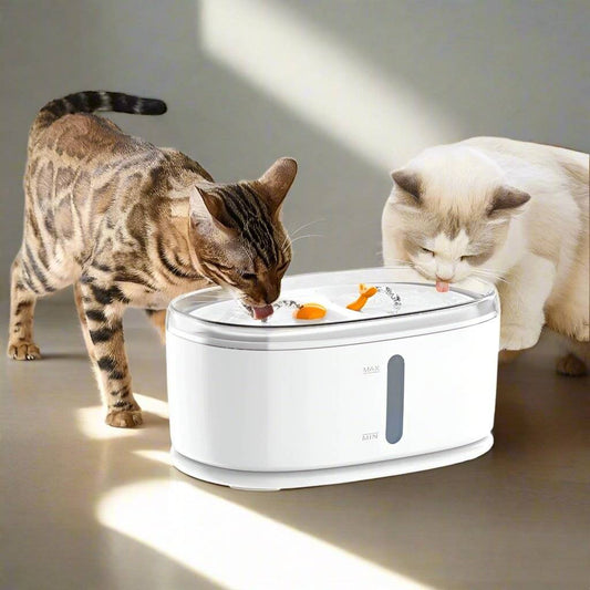 Automatic Dual Water Fountain for Cats Hydrated Healthy 2.5L