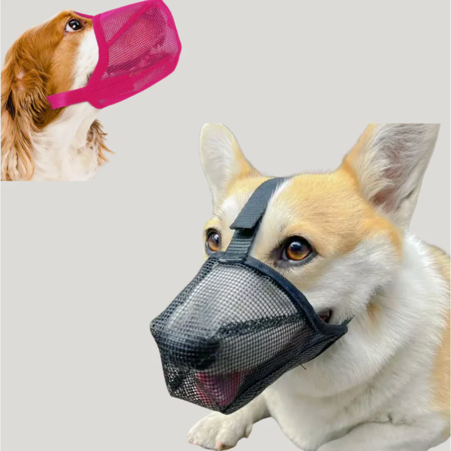 Mesh Muzzle for Dogs Safe Walks Without Stress