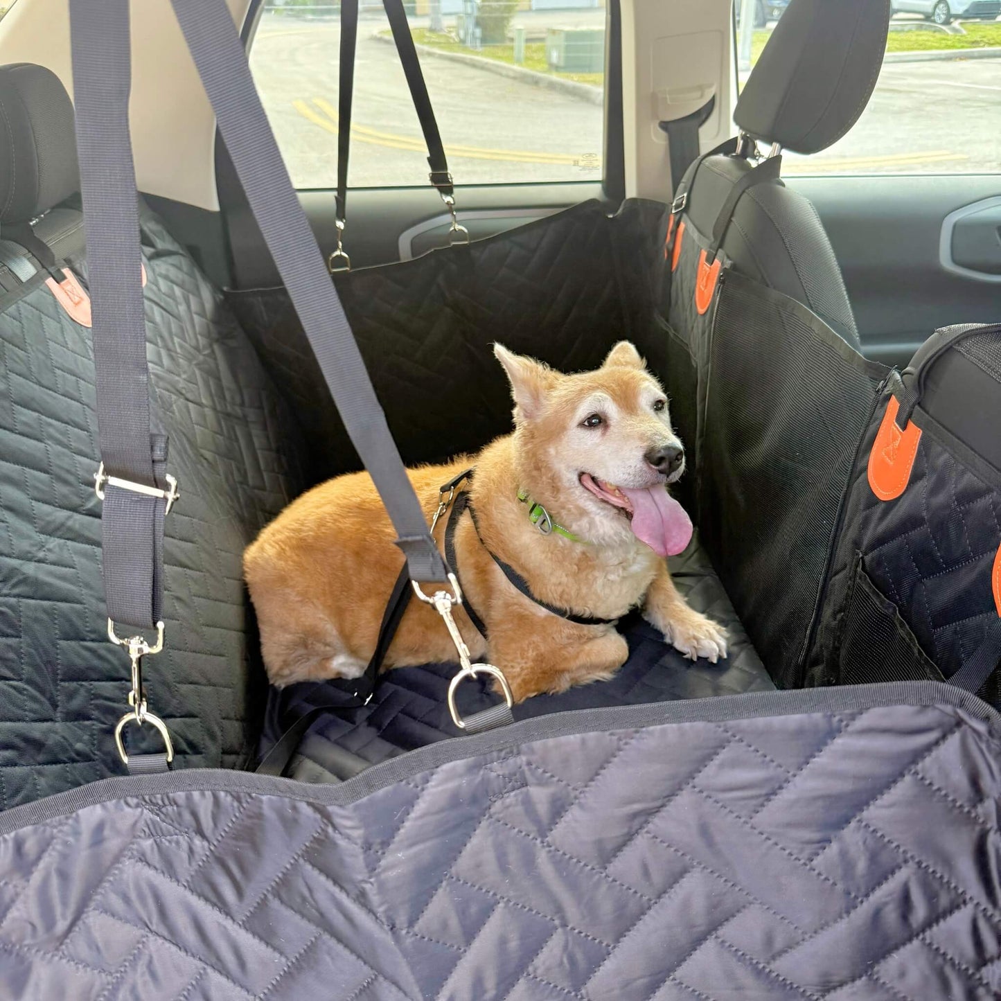 Hard Bottom Dog Car Seat Cover & Back Seat Extender