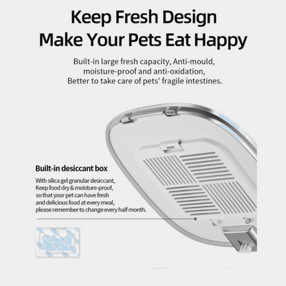 Automatic Stainless Steel Slow Feeder Bowl for Cats 4L