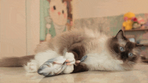 Electric Interactive Cotton Toy for Cats Fish Lifelike