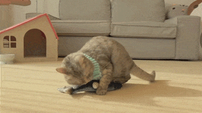 Electric Interactive Cotton Toy for Cats Fish Lifelike