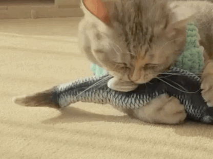 Electric Interactive Cotton Toy for Cats Fish Lifelike