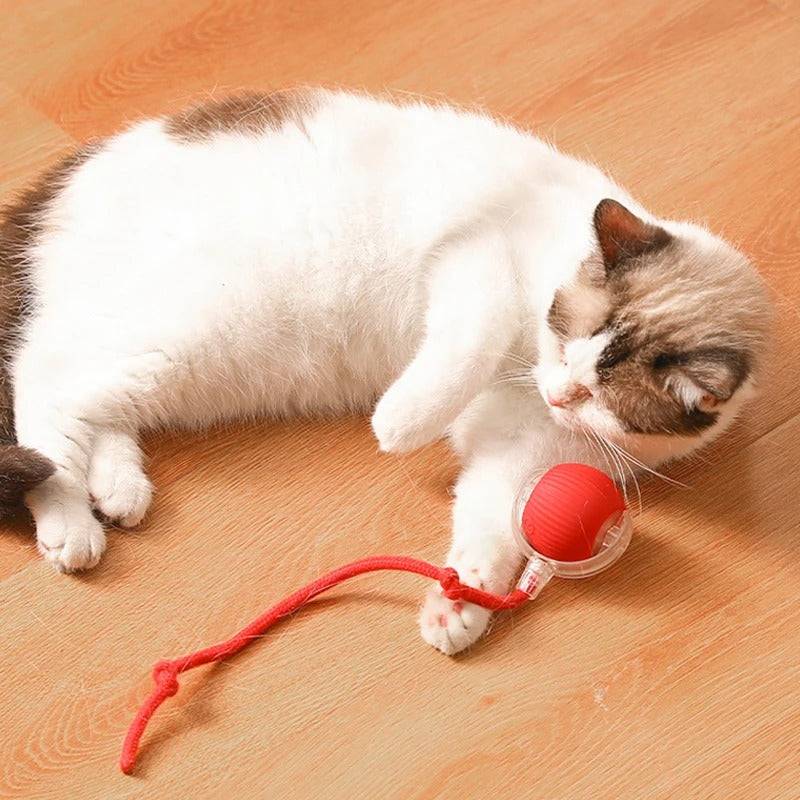 Self Electric Ball Toy for Cats Time Play
