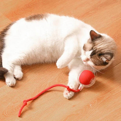 Self Electric Ball Toy for Cats Time Play