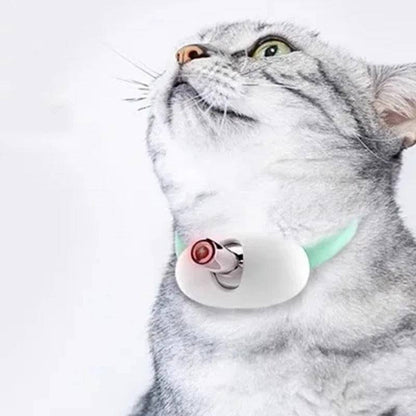 Smart Interactive Collar for Cats Entertained Effortlessly Hands