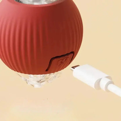 Interactive Ball Toy for Cats & Dogs Rolling